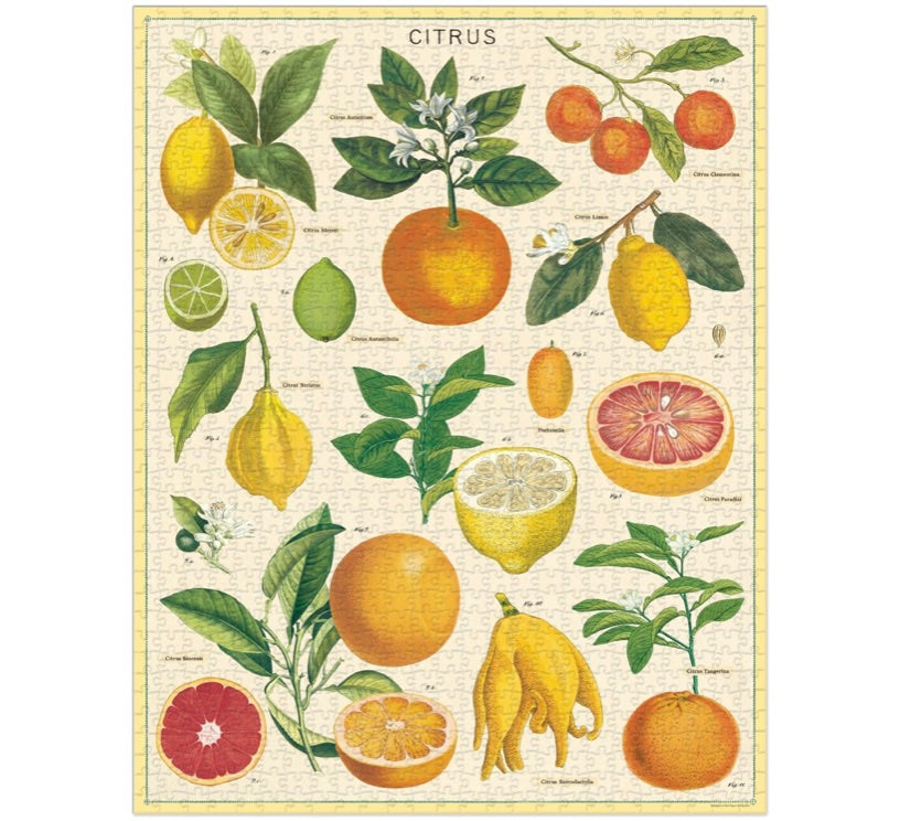 CITRUS PUZZLE