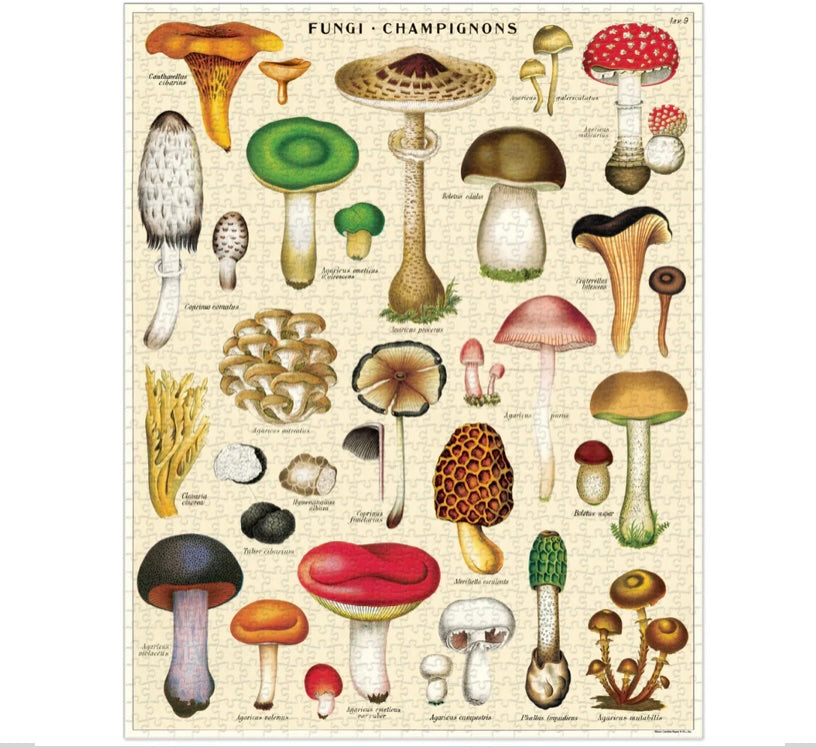 MUSHROOMS PUZZLE (1000 PIECE)