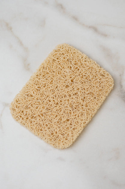 NOODLE SOAP SAVER / PLANTOODLE BAR SAFE