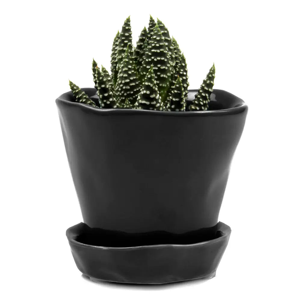 Chive Ceramic Planter in Black