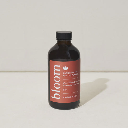 Modern Sprout Bloom Nutrients