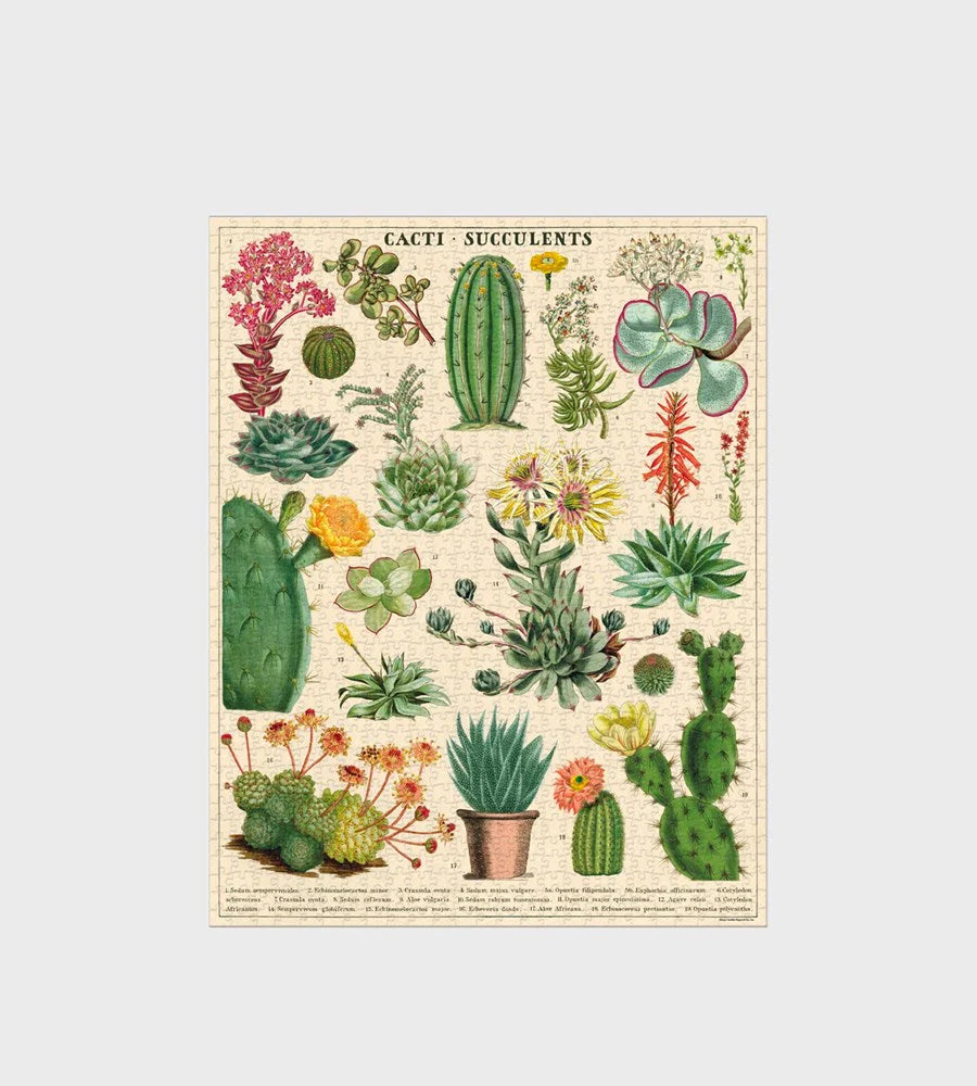 CACTI & SUCCULENTS PUZZLE (1000 PIECE)