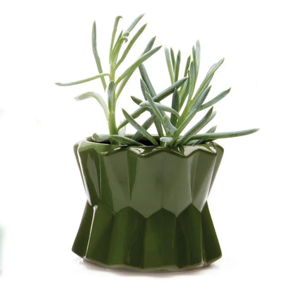 Chive's Big Fang Pot in Army Green