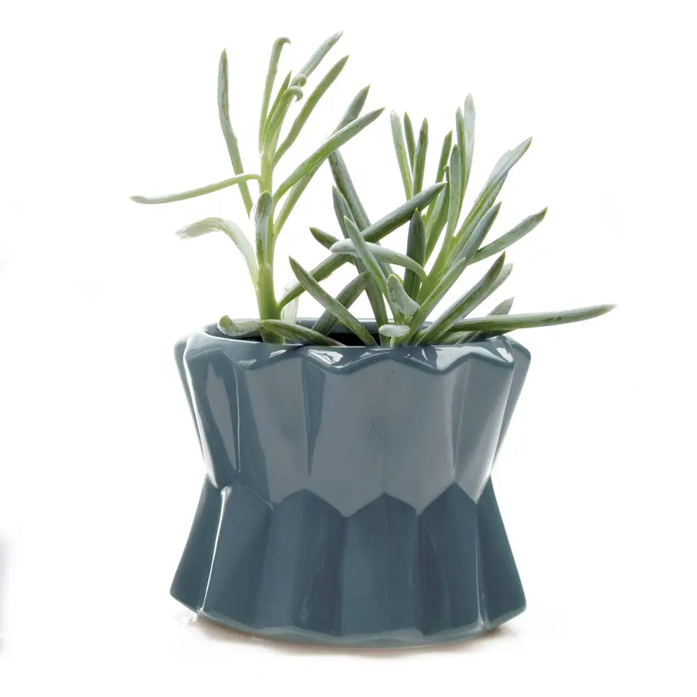 Chive's Big Fang Pot in Blue Green
