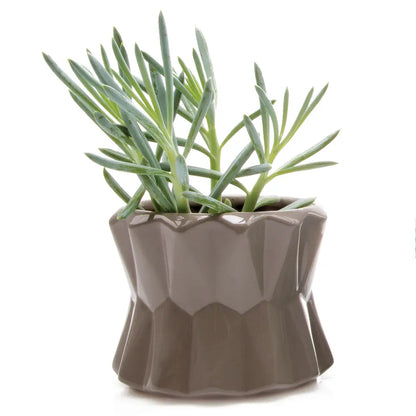 Chive's Big Fang Pot in Grey