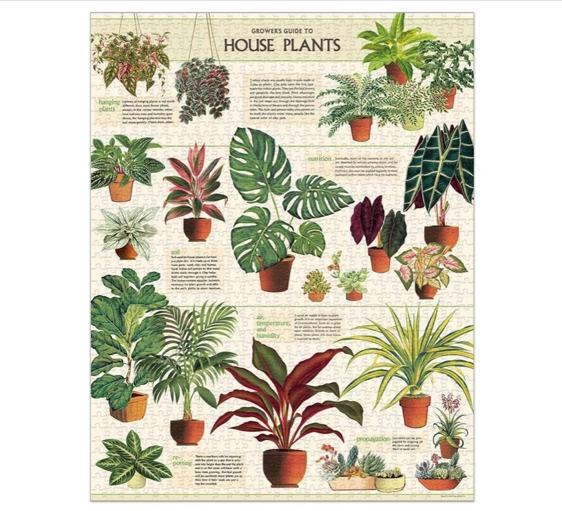 HOUSE PLANTS PUZZLE (1000 PIECE)
