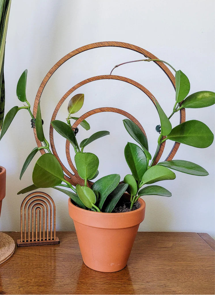 Triple Hoop Trellis Large Size