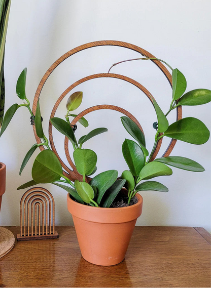 Triple Hoop Trellis Large Size
