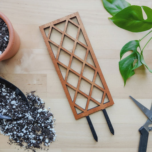 Leaf and Node Lattice Trellis