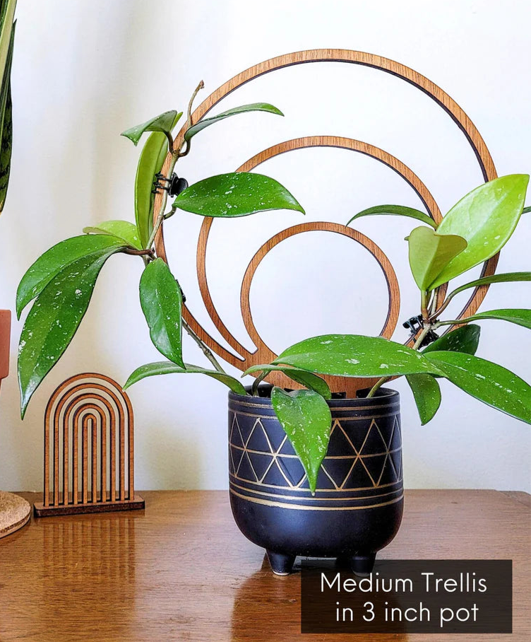 Triple Hoop Trellis Medium Size