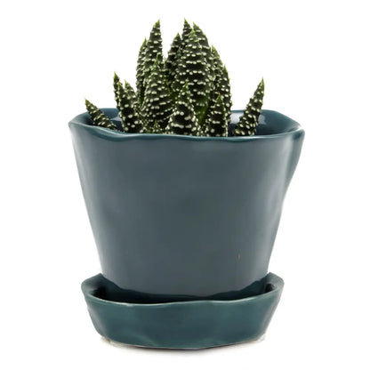 Chive Ceramic Planter in Spruce