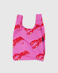 BABY BAGGU